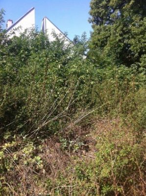 Taetigkeitsbericht2019_V4.pub - Publisher